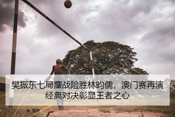 樊振东七局鏖战险胜林昀儒，澳门赛再演经典对决彰显王者之心