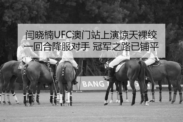 yan-xiao-nan-ao-men-zhan-shang-yan-jing-tian-luo-jiao-yi-hui-he-xiang-fu-dui-shou-guan-jun-zhi-lu-yi-pu-ping-2-812.jpg